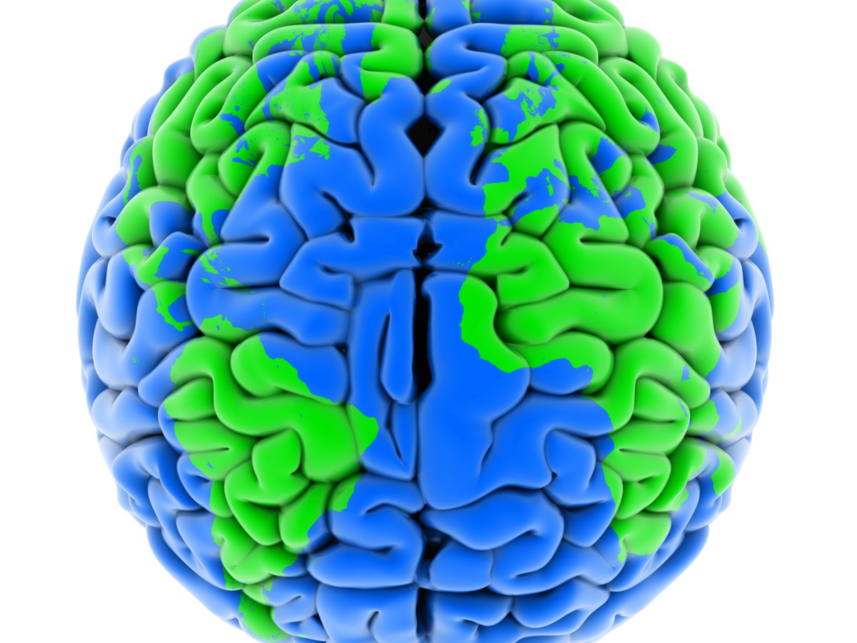 Human brain colored like the earth with blue ocean and green continents