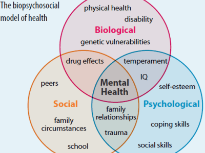 Venn diagram of Biological, Social, and Psychological with the circles overlapping on Mental Health.