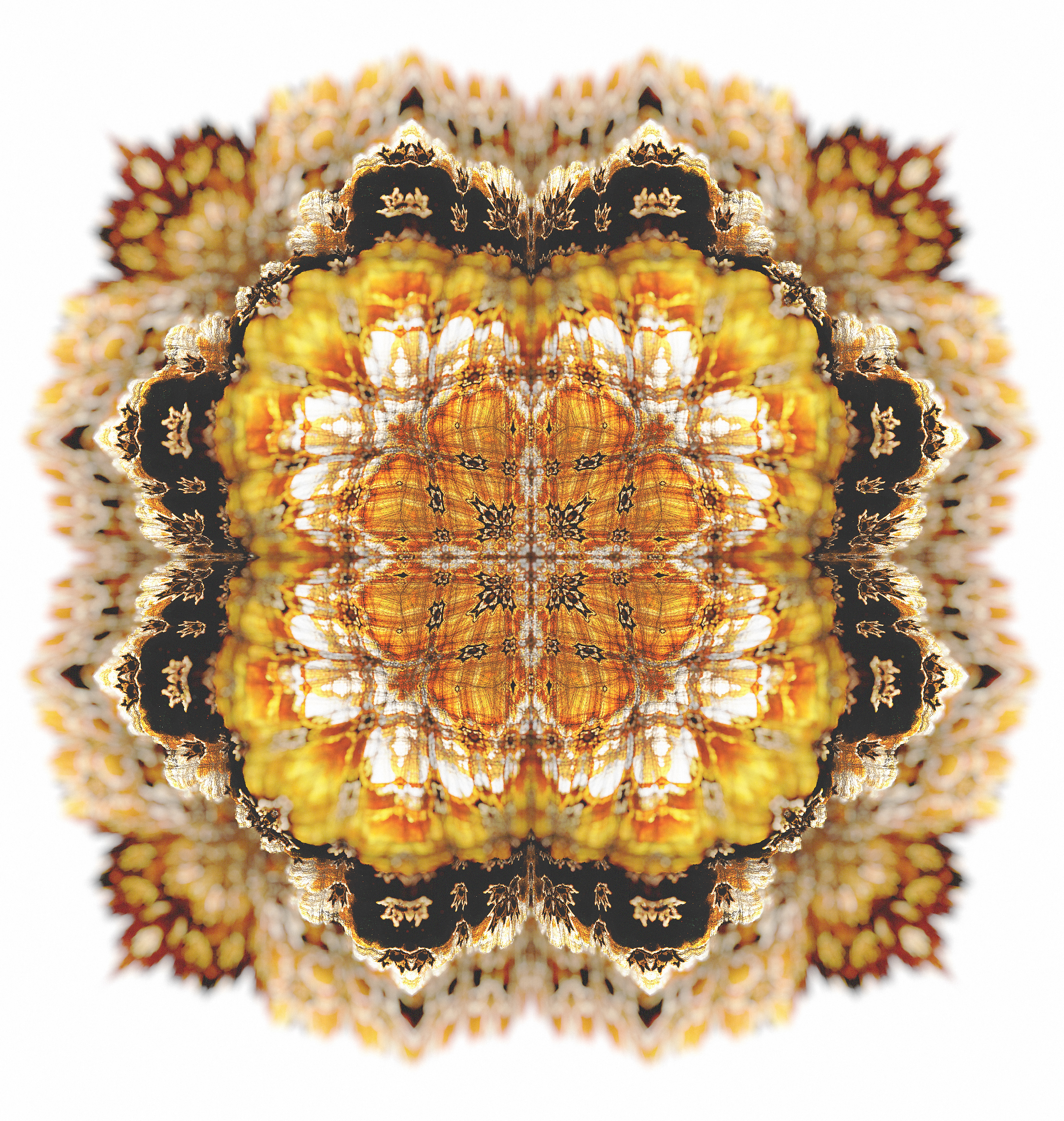 Abstract art resembling a bright yellow flower with black accents