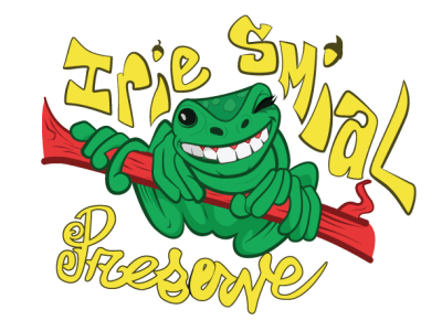 Smiling frog on tree branch