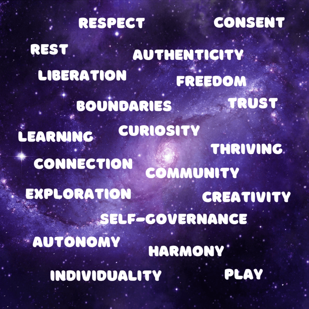 Tag cloud with these words:

RESPECT CONSENT
REST AUTHENTICITY LIBERATION FREEDOM
BOUNDARIES TRUST
LEARNING CURIOSITY
THRIVING CONNECTION COMMUNITY
EXPLORATION CREATIVITY SELF-COVERNANCE
AUTONOMY HARMONY
INDIVIDUALITY PLAY