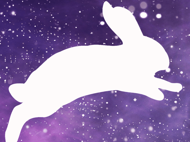 silhouette of white rabbit leaping forward across a star field
