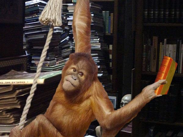 Orangutan swinging from a rope in a library