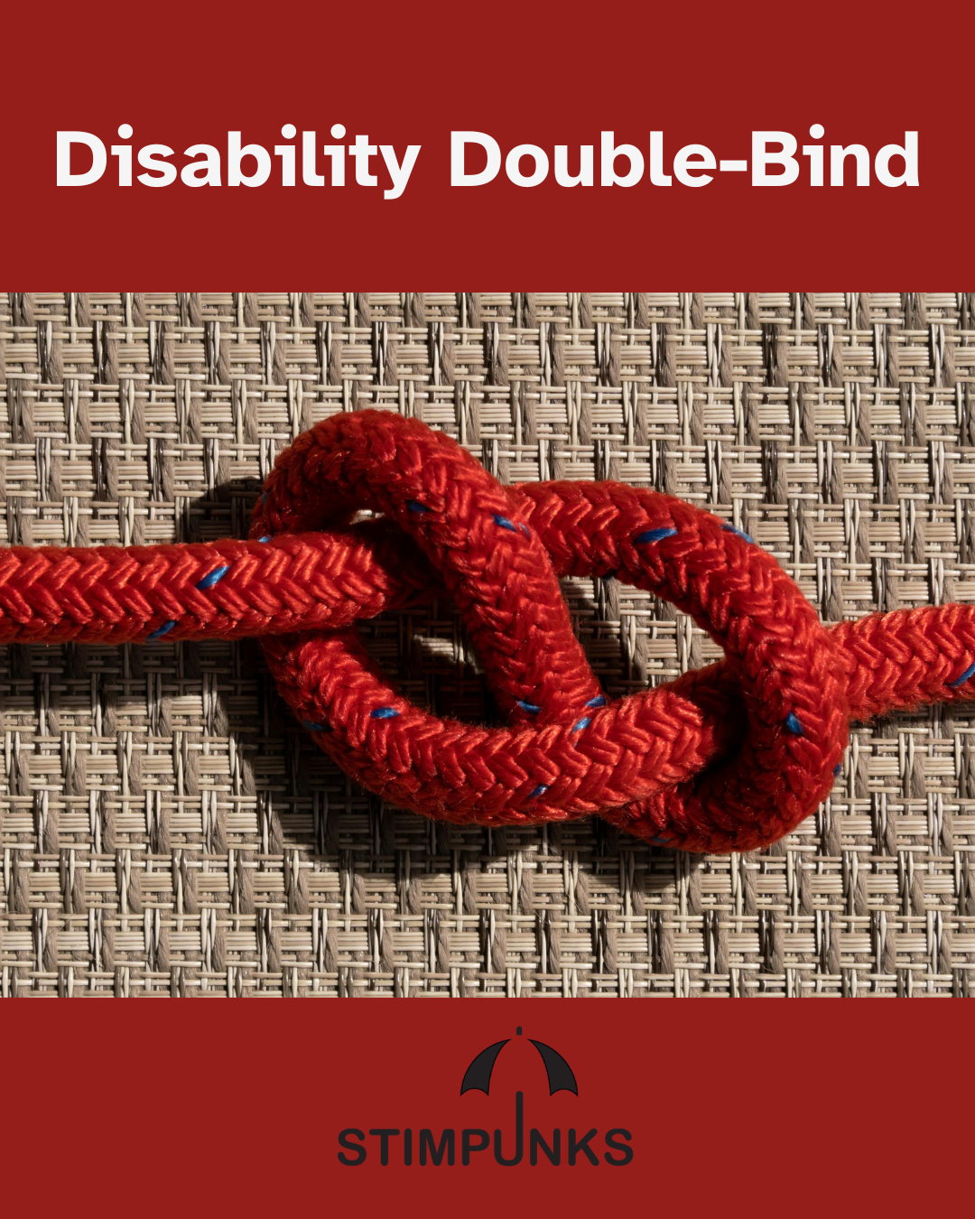 Disability Double Bind Photo of climbing rope looped into a knot