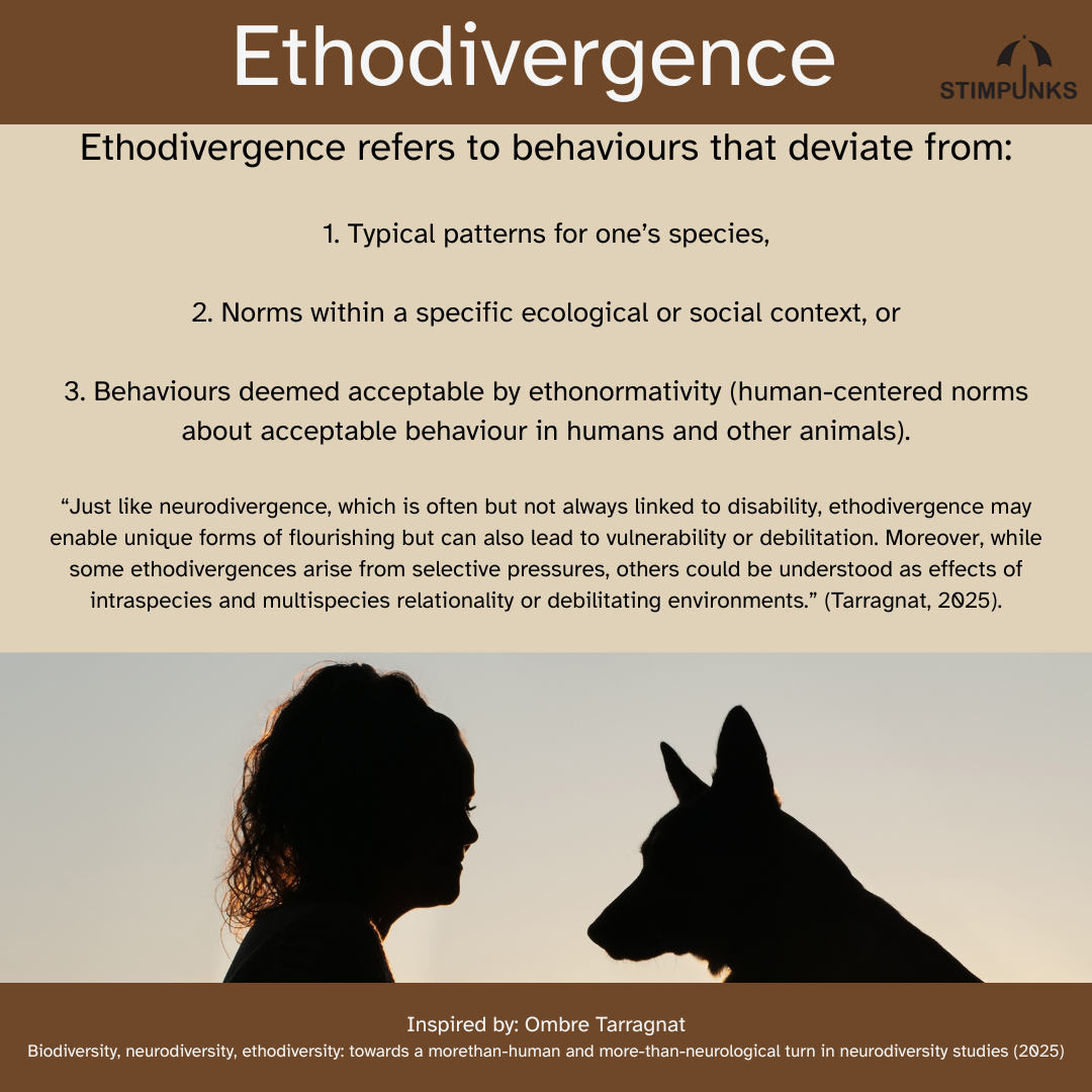 Picture of silhouette of a human and a dog with text that reads: Ethodivergence refers to behaviours that deviate from: 1. Typical patterns for one's species, 2. Norms within a specific ecological or social context, or 3. Behaviours deemed acceptable by ethonormativity (human-centered norms about acceptable behaviour in humans and other animals). "Just like neurodivergence, which is often but not always linked to disability, ethodivergence may enable unique forms of flourishing but can also lead to vulnerability or debilitation. Moreover, while some ethodivergences arise from selective pressures, others could be understood as effects of intraspecies and multispecies relationality or debilitating environments." (Tarragnat, 2025). Inspired by: Ombre Tarragnat Biodiversity, neurodiversity, ethodiversity: towards a morethan-human and more-than-neurological turn in neurodiversity studies (2025)