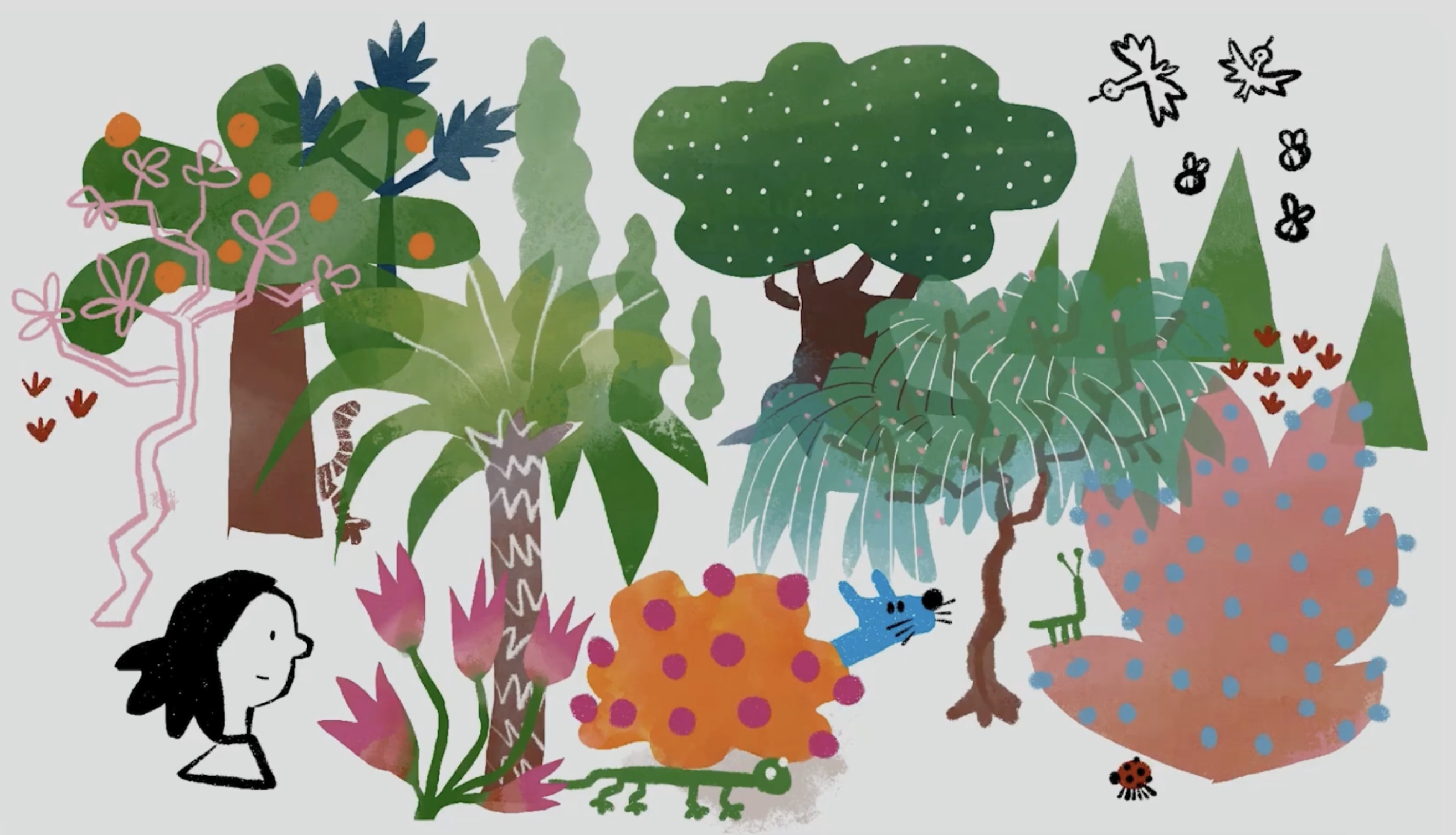 Animated Introductions to Autism, ADHD, and Neurodiversity