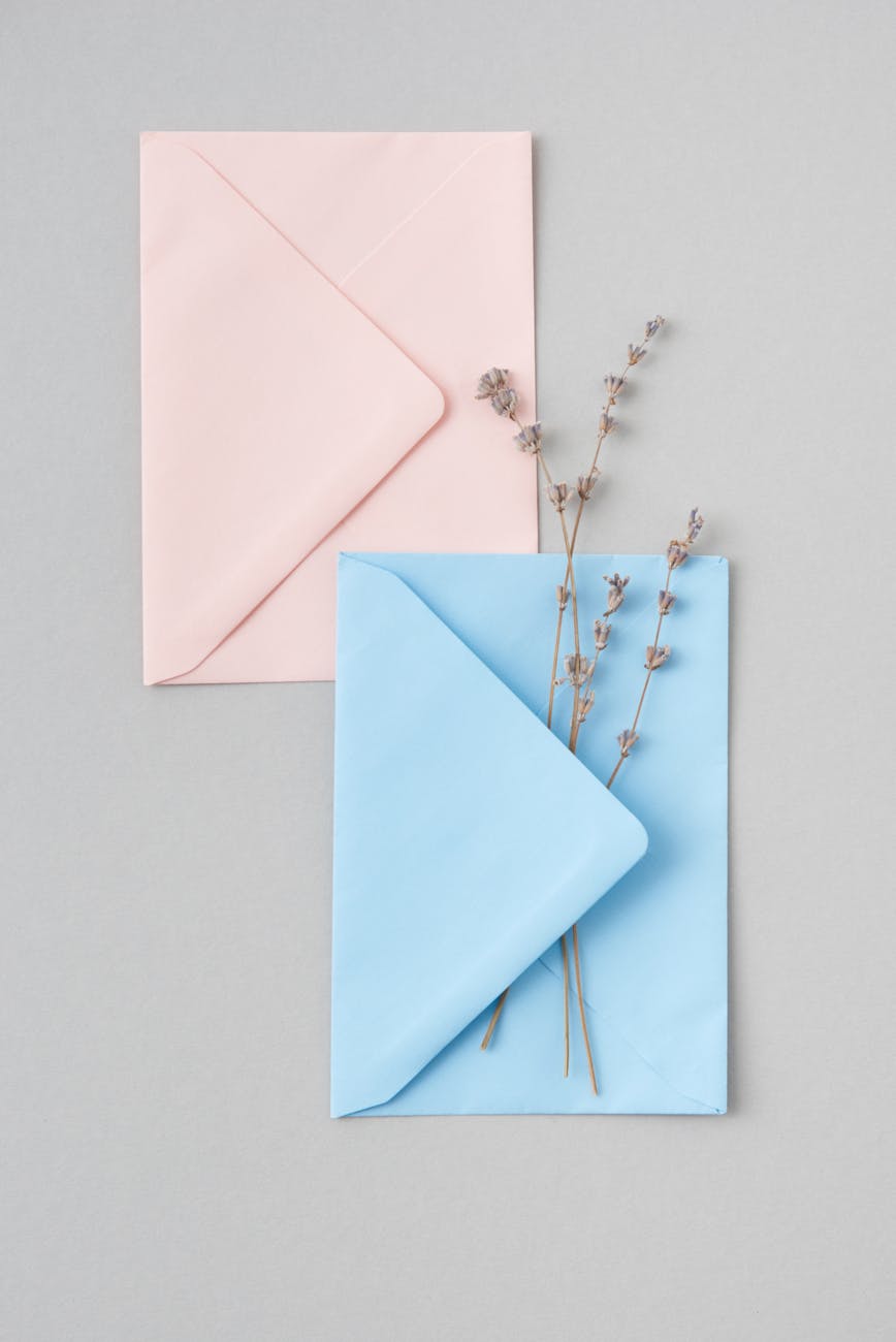 blue and pink envelopes with dried flowers